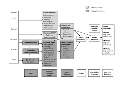 Conceptual Framework in Reproductive Health Programs