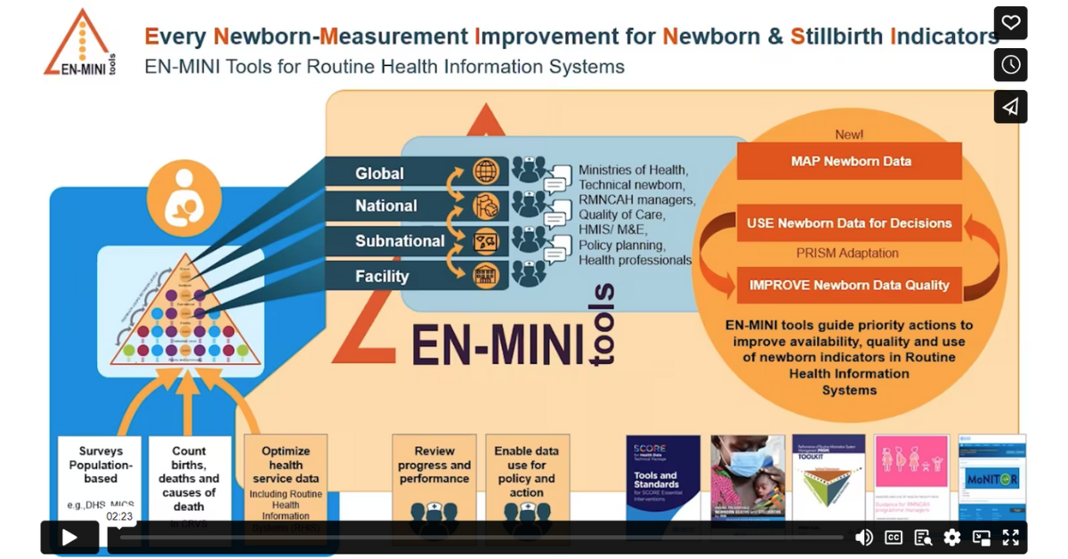 EN-MINI Video Infographic