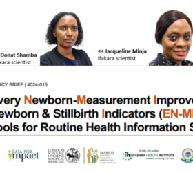 Every Newborn-Measurement Improvement for Newborn & Stillbirth Indicators (EN-MINI) Tools for Routine Health Information Systems policy brief